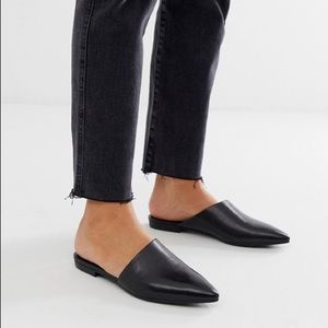 Vagabond Mules